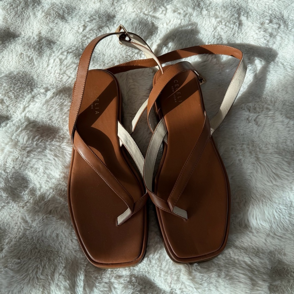 Cecelia New York Kara Sandals in Brown
